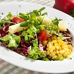 Grof 4* Vransko